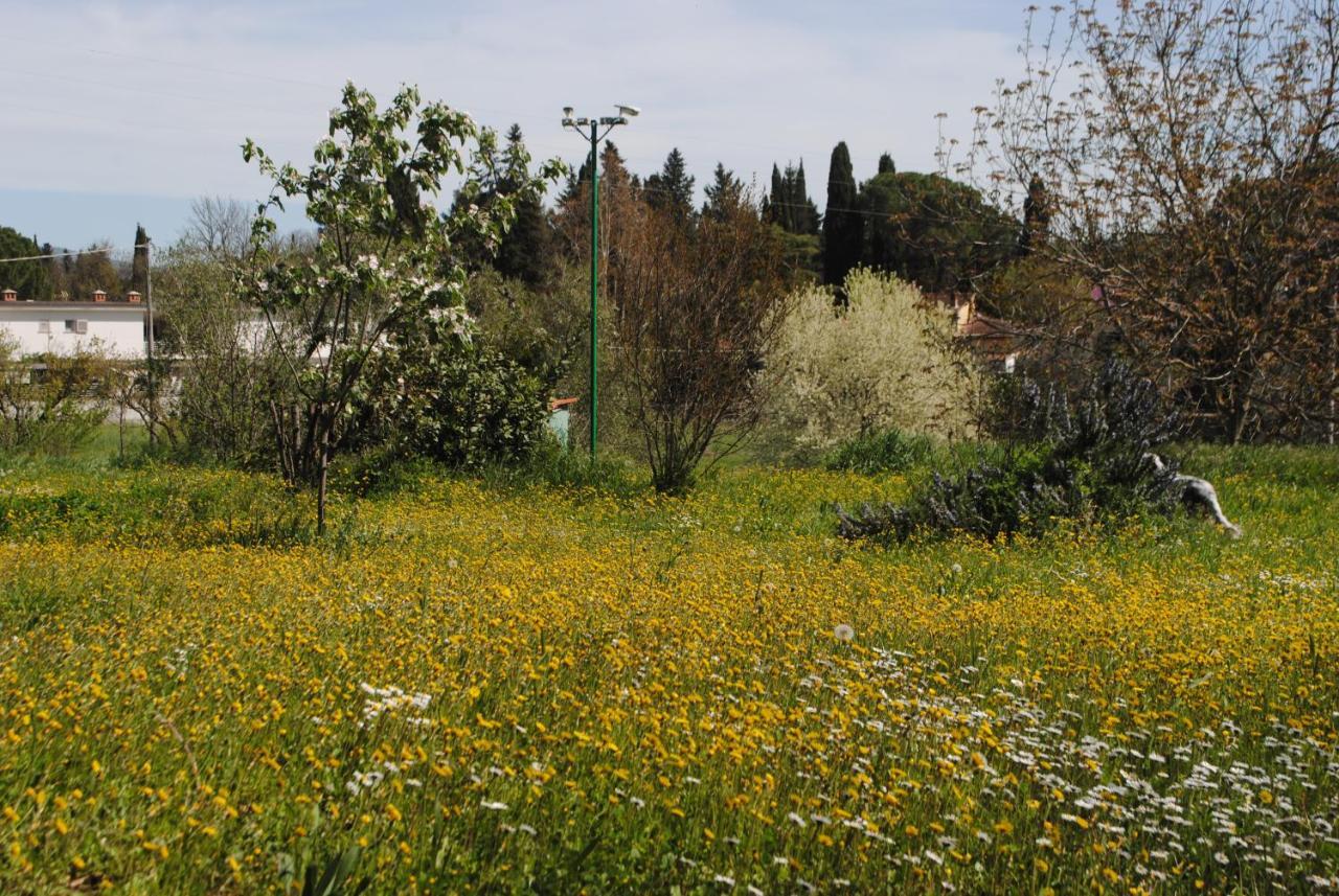 Agriturismo Fattoria Di Malavolta Флоренція Екстер'єр фото