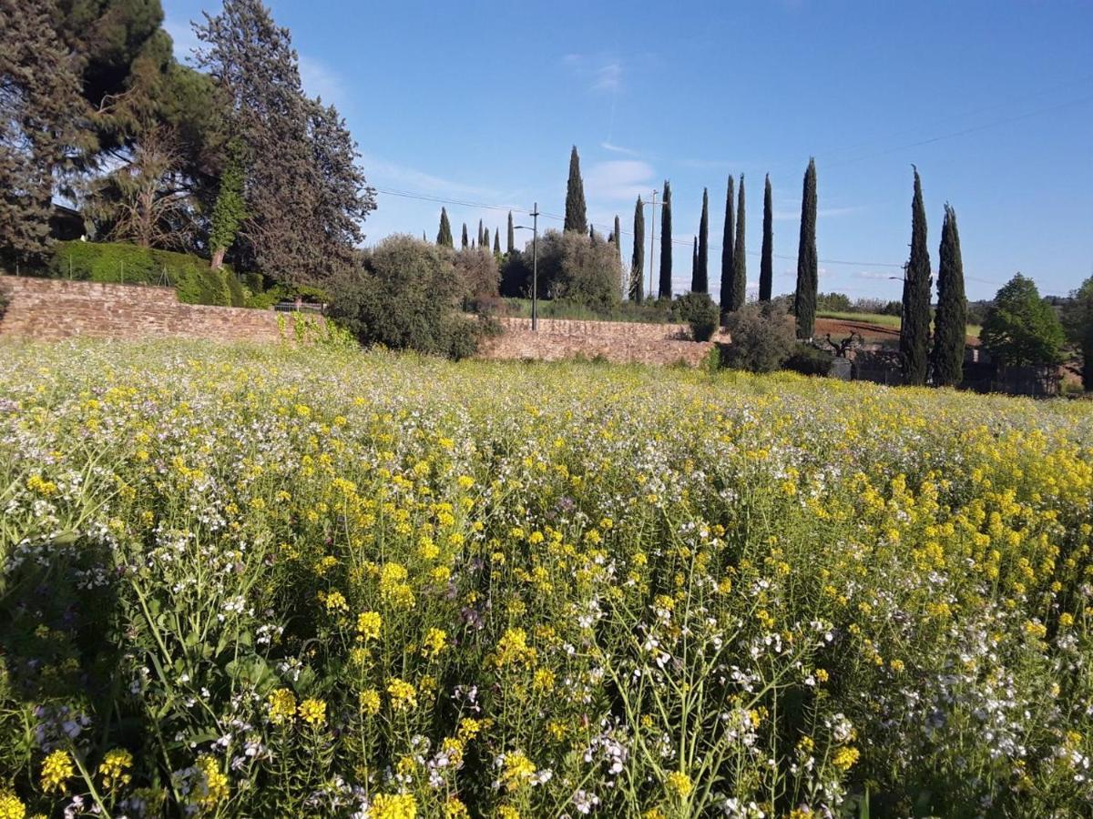 Agriturismo Fattoria Di Malavolta Флоренція Екстер'єр фото